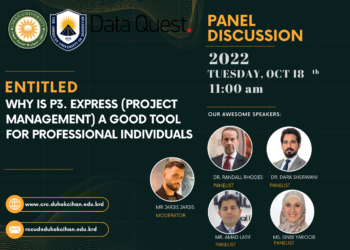 Why is p3. express (project management) a good tool for professional individuals