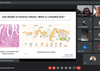 Learning from gut instinct